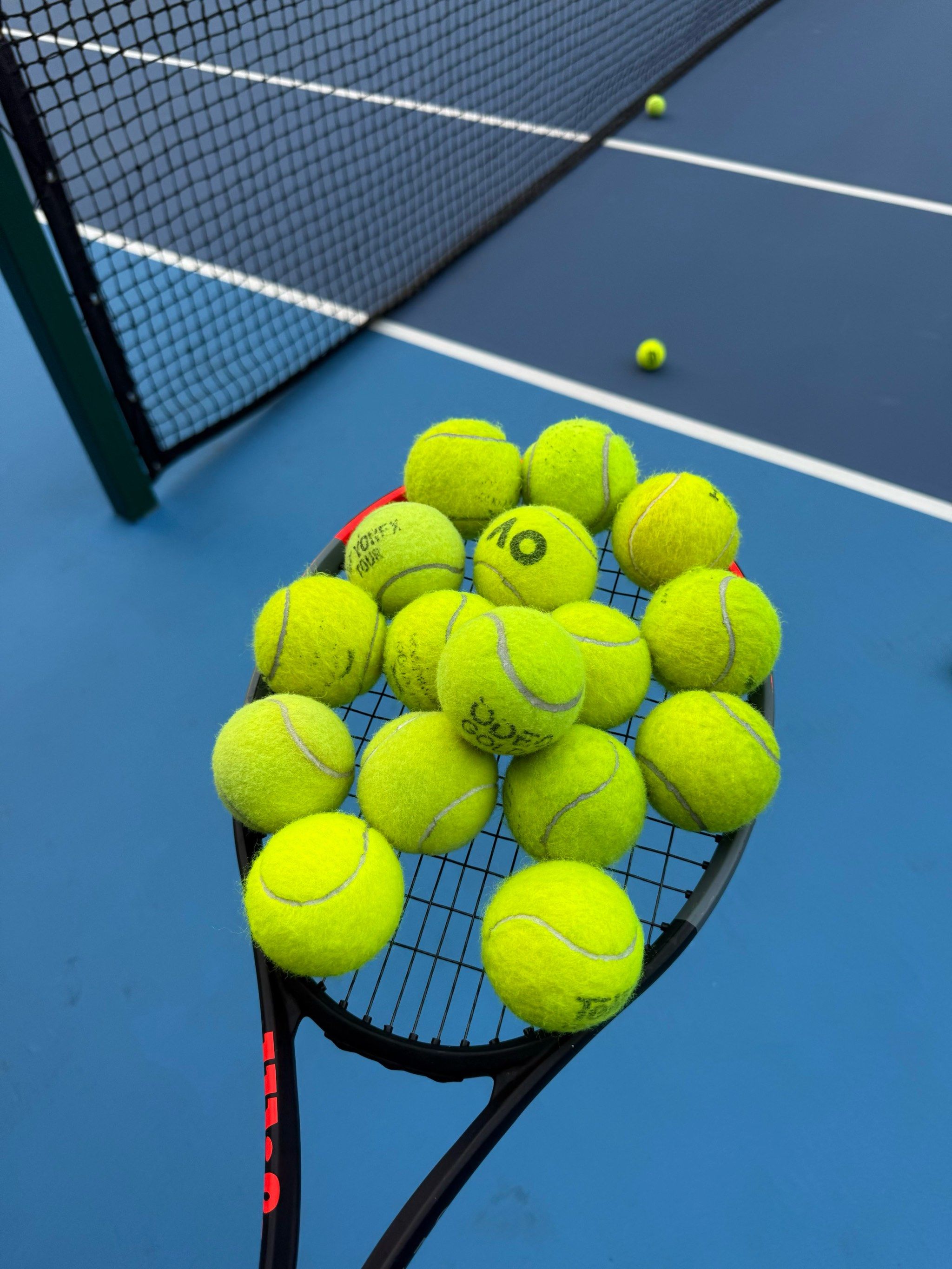 的调查中 的调查中