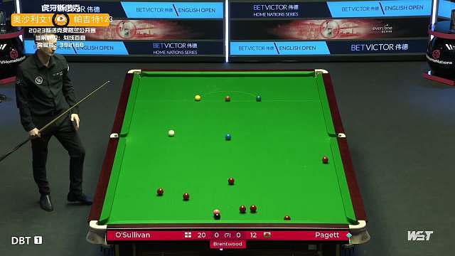 后撤步跳投 后撤步跳投